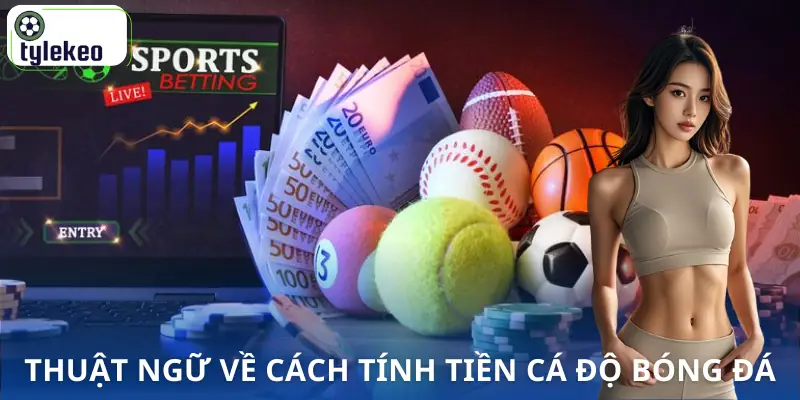 cach-tinh-tien-ca-do-bong-da-thuat-ngu