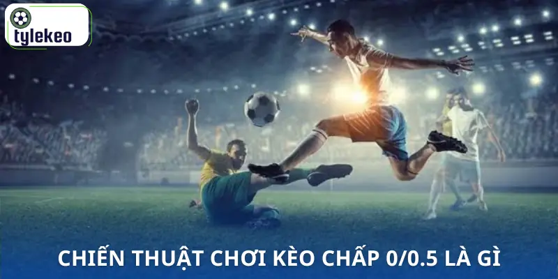 keo-chap-0-0-5-la-gi-chien-thuat-cuoc