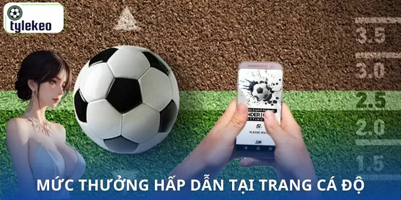 trang-ca-do-bong-da-uy-tin-nhat-viet-nam-muc-thuong-hap-dan